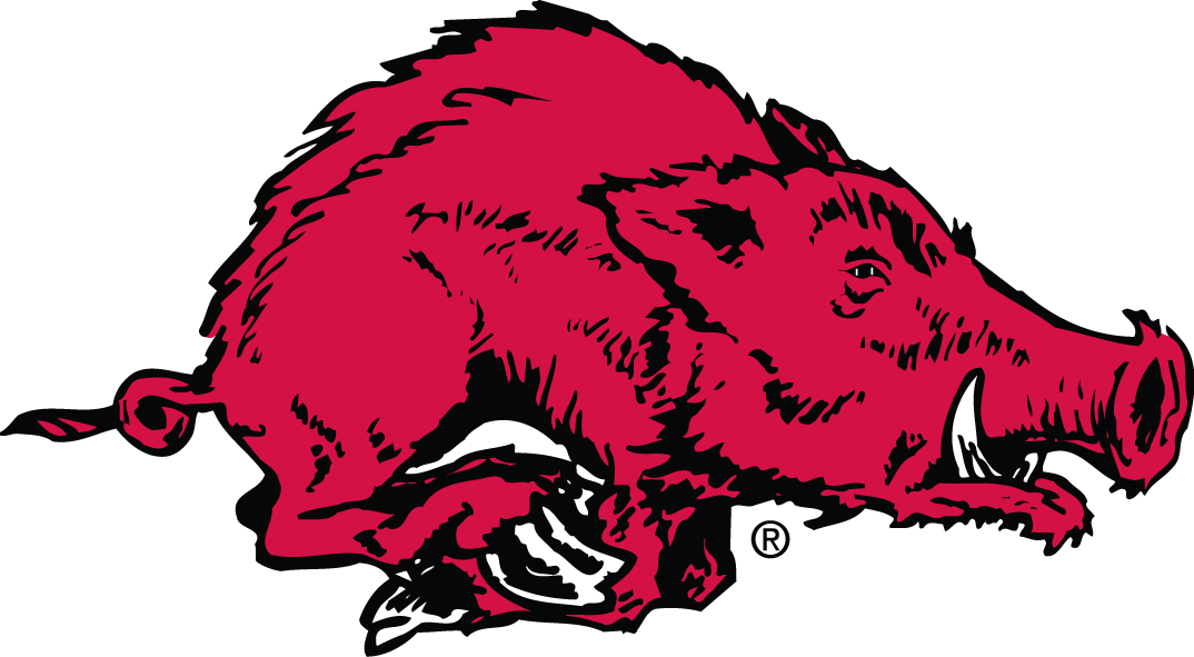 Arkansas Razorbacks 1963-1966 Primary Logo diy DTF decal sticker